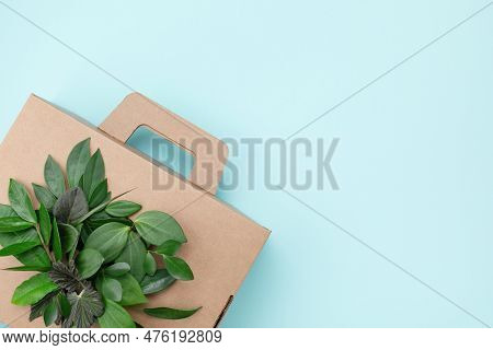 Cardbox From Recyclable Organic Materials With Green Leaves Sprouts Top View. Eco Friendly Packaging