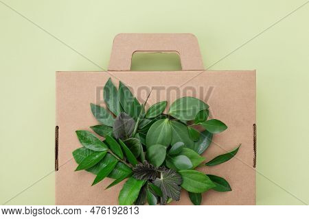Cardbox From Recyclable Organic Materials With Fgreen Leaves Sprouts On Top View. Eco Friendly Cardb