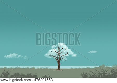 Cormorants Sit In A Lleafless  Tree  Next To A Lake And A Drifting Cloud Appears To Be The Leaves On