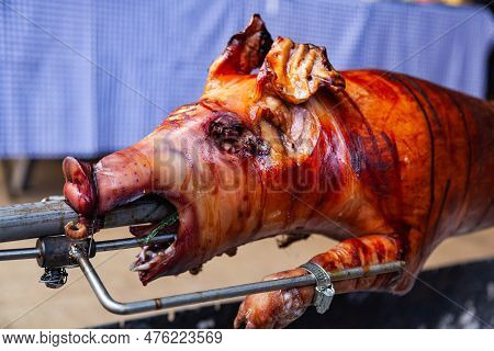 A Young Pig Is Roasted On A Spit Over Coals.