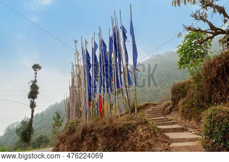 Buddist Religious Prayer Flags And Trees Standing Tall Outside Monastery In Sikkim, India. Blue Sky 