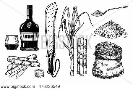 Sketch Sugar Cane, Sugarcane Farm Harvest, Glass And Bottle Of Rum. Sugarcane Leaf, Sugar Plant Stal