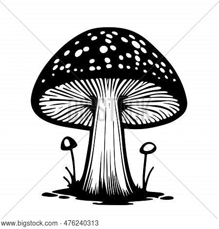 Black Hand-drawn Vector Illustration Of One Fresh Mushroom Fly Agaric Isolated On A White Background