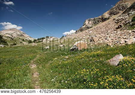 Hiking Trail In The Beartooth Mountains On The Montana - Wyoming Border