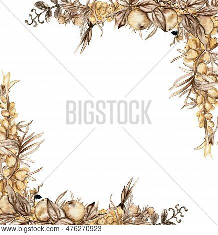 Watercolor Autumn Square Frame With Sea Buckthorn Llustration Of Autumn For Scrapbooking, Nvitation,