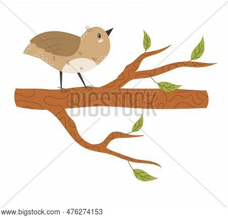 Cute Bird Sits On A Tree Branch. Funny Curious Sparrow. Charming Funny Wild Bird, Feathered On A Twi