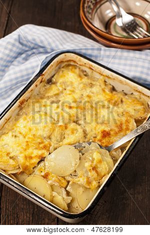 Potato Gratin