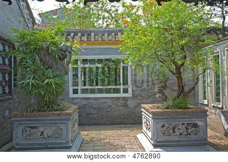 Qinghui giardino piante in vaso