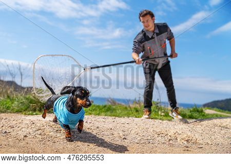 Dog Catching Service. Puppy In Clothes Runs Away From Man With Iron Sap In His Hands, Escapes. Trapp
