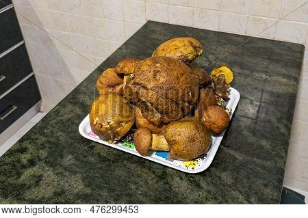A Bunch Of Freshly Picked Young Edible Mushrooms - Leccinellum Lepidum - Lies On A Tray, On The Kitc
