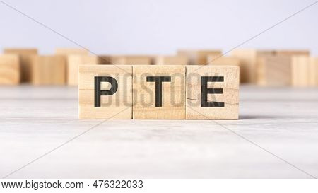 Pte - Word Concept Written On Wooden Cubes Or Blocks On A Light Background