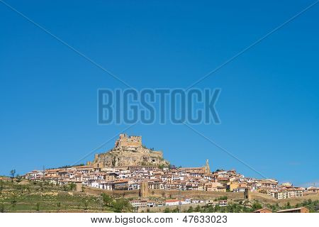 Morella