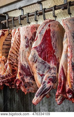Meat Processing Plant. Carcasses Of Beef Hang On Hooks.