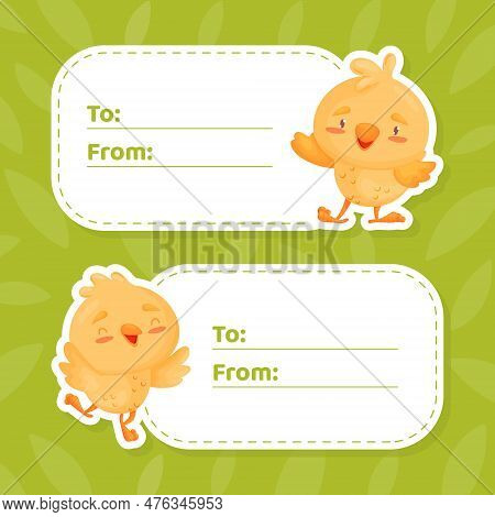 Empty Tag Card With Cute Yellow Chicken Vector Template