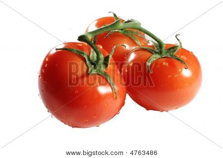 Pomodori fuori della vite