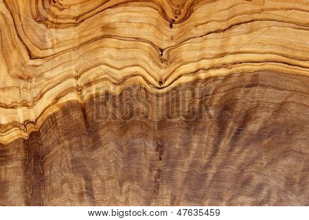 Texture legno olivo