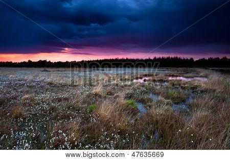 Lila viharos Sunset Over mocsár