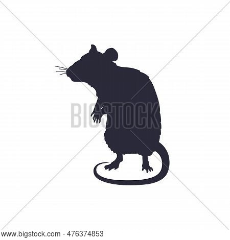 Rat Or Mouse Stands Alert On Its Hind Legs Black Silhouette Vector Isolated.