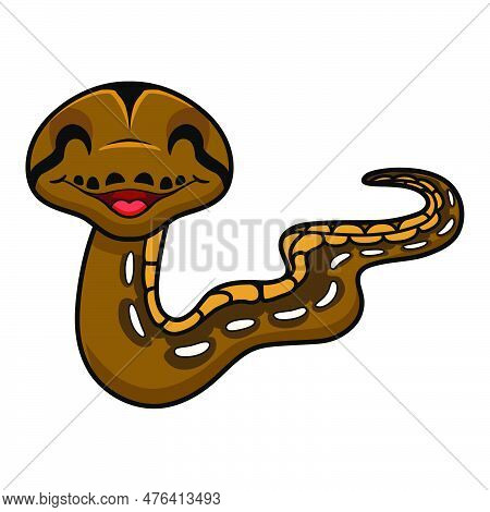 Vector Illustration Of Cute Tiger Reticulatus Python Cartoon
