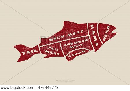 Stock Vector Fish Cuts Diagram In Flat Style. Design With Rough Texture. Red Print On Light Backgrou