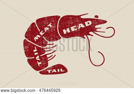 Stock Vector Shrimp Cuts Diagram In Flat Style. Design With Rough Texture. Red Print On Light Backgr