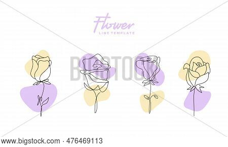 One Line Drawing. Decorative Beautiful English Garden Rose With Bud And Color Spots. Minimalist Hand