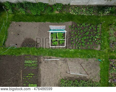 Foil Greenhouse For Growing Vegetables Simply Made From Shrink Wrap For Food Packaging Used For Grow