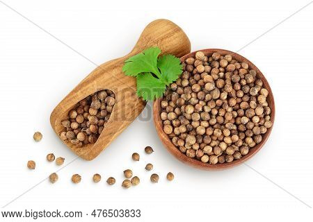 Dried Coriander Seeds In The Wooden Bowl With Fresh Green Leaf Isolated On White Background. Top Vie