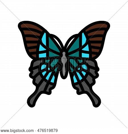 Malabar Banded Peacock Insect Color Icon Vector. Malabar Banded Peacock Insect Sign. Isolated Symbol