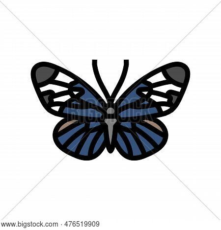 Sapho Longwing Insect Color Icon Vector. Sapho Longwing Insect Sign. Isolated Symbol Illustration