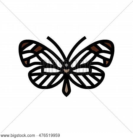 Glasswing Butterfly Spring Color Icon Vector. Glasswing Butterfly Spring Sign. Isolated Symbol Illus