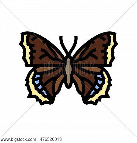 Mourning Cloak Spring Color Icon Vector. Mourning Cloak Spring Sign. Isolated Symbol Illustration