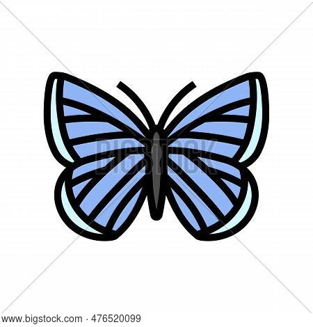 Spring Azure Insect Color Icon Vector. Spring Azure Insect Sign. Isolated Symbol Illustration