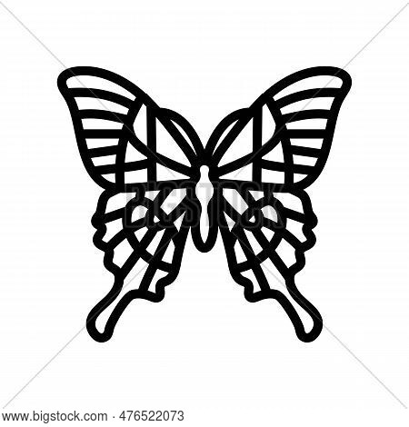 Malabar Banded Peacock Insect Line Icon Vector. Malabar Banded Peacock Insect Sign. Isolated Contour