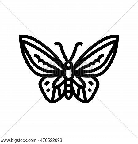 Cape York Birdwing Insect Line Icon Vector. Cape York Birdwing Insect Sign. Isolated Contour Symbol 