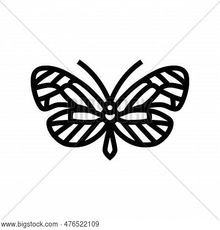 Glasswing Butterfly Spring Line Icon Vector. Glasswing Butterfly Spring Sign. Isolated Contour Symbo