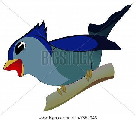 lintu