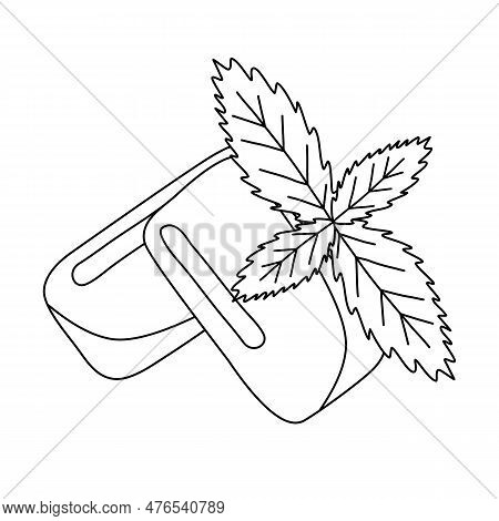 Mint Flavor Gum Pads With Fresh Mint Leaves, Doodle Style Flat Vector Outline Illustration For Kids 