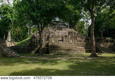 Tropical Trees Growing On The Sunny Maya Ruins Of 'cahal Pech' In San Iganacio, Belize
