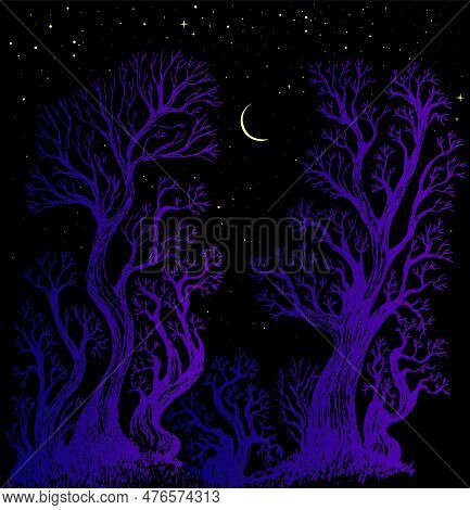 Surreal Night Sky Forest Moon And Star Fantasy Illustration. Enchanted Forest Fantasy Background Wit