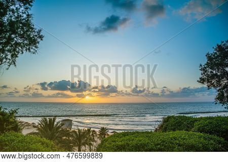 Beach Through Trees And Palms At Sunset. Scenic Coast Of Mediterranean Sea, Sandy Beach In Netanya, 