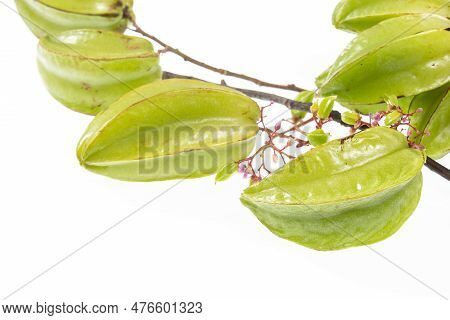 Star Fruit Or Carambola Green - Averrhoa Carambola; Photo On White Background