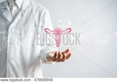 Doctor In A White Coat Holding Virtual Uterus Reproductive System , Woman Health, Pcos, Ovary Gyneco