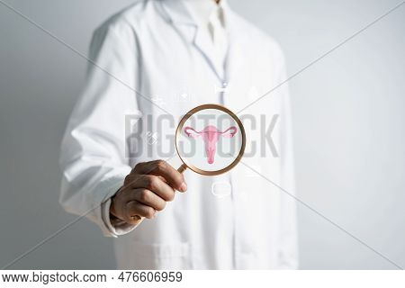 Doctor In A White Coat Holding Virtual Uterus Reproductive System , Woman Health, Pcos, Ovary Gyneco