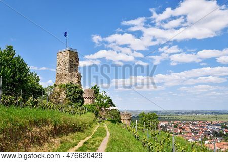 Spur Castle Ruin Called Wachtenburg In Wachenheim City In  Rhineland-palatinate