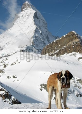 Il Cervino