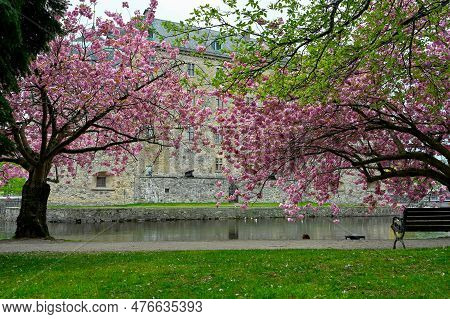 Orebro Castle And Cherry Trees Orebro Sweden May 15 2023
