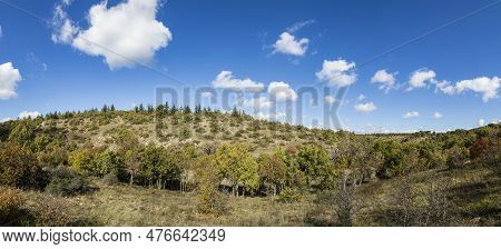 Scenic Landscape In The Provence Near Rians