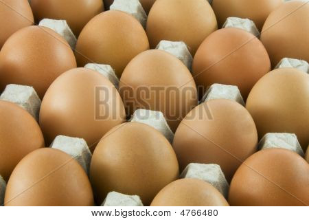 Many Fresh Rural Eggs Packed In Cardboard Container