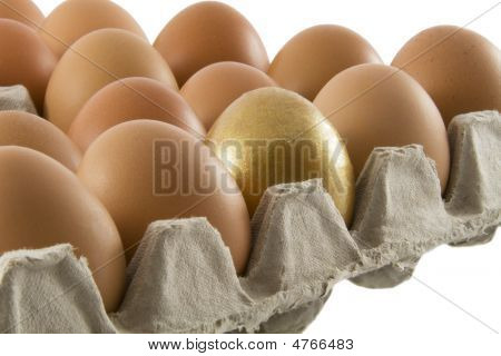 One Golden And Many Ordinary Fresh Rural Eggs Packed Into Cardboard Container Isolated Over White Ba